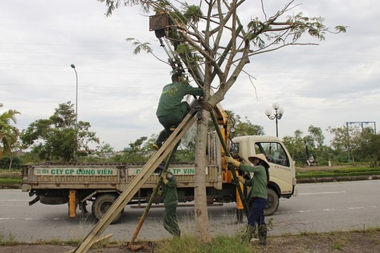 Công ty CP Công viên cây xanh TP Vinh cần phải xây dựng thương hiệu