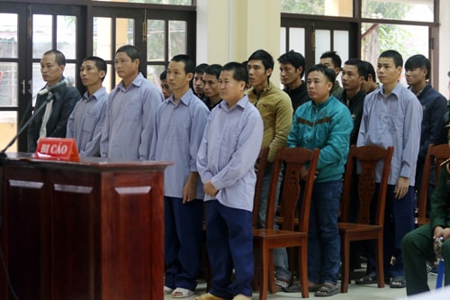 Cựu đồn phó biên phòng hầu tòa vì liên quan phá rừng