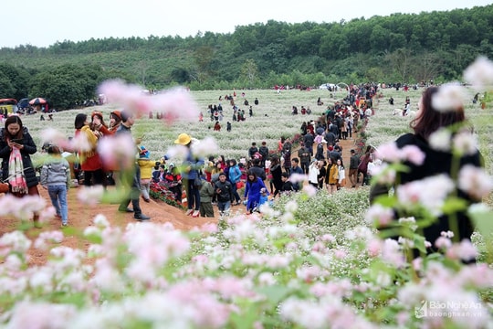 Du lịch Nghệ An tăng trưởng nhanh nhưng thiếu bền vững