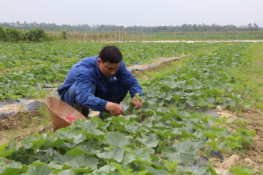 Mỗi xã sẽ được hỗ trợ từ 400 triệu đến 1,66 tỷ đồng khi xây dựng nông thôn mới