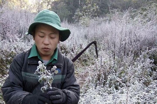 Thời tiết rét đậm, rét hại, có khả năng xảy ra băng giá 