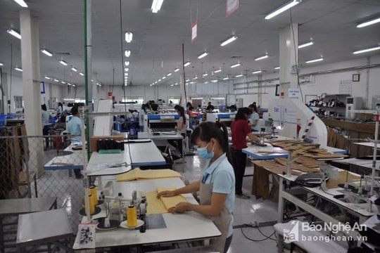 Nghệ An: Gần 17.500 cơ sở kinh tế không đăng ký kinh doanh