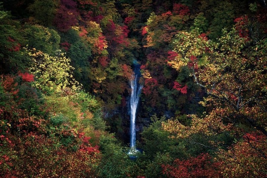 Bộ ảnh thiên nhiên đẹp nhất tháng 1