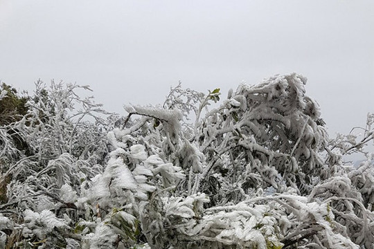 Thời tiết 3/2: Trung bộ mưa rải rác và băng giá, Bắc bộ có nơi - 0.3 độ C