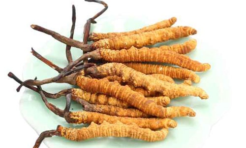 Những món quà Tết bạc tỷ được nhà giàu Việt săn lùng