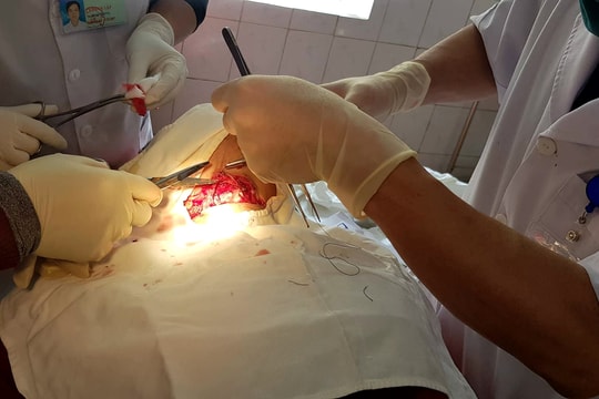 Bị lưỡi cưa xăng văng gần đứt cổ khi cưa củi Tết