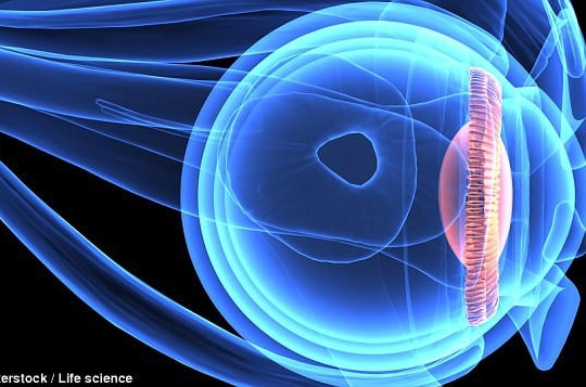 Màn hình ảnh hưởng đến thị lực như thế nào?