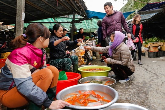 Nhộn nhịp chợ cá chép cúng ông Táo
