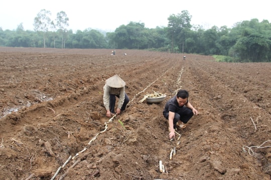 Nghệ An: Còn 4 doanh nghiệp không bán hết phần vốn Nhà nước để cổ phần hóa