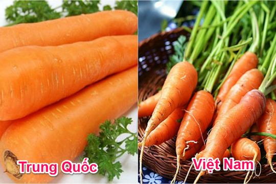 Cách phân biệt rau, củ quả Việt Nam với hàng Trung Quốc dịp Tết