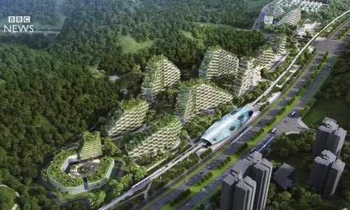 'Thành phố rừng' ở Trung Quốc 