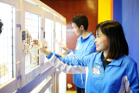 Dịch vụ chăm sóc chó mèo 'hốt bạc' dịp Tết