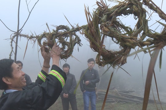 Cả bản cúng họ vào ngày 30 Tết của đồng bào Mông