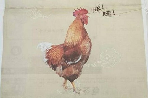 Malaysia xin lỗi vì đăng ảnh gà trong quảng cáo mừng năm Mậu Tuất