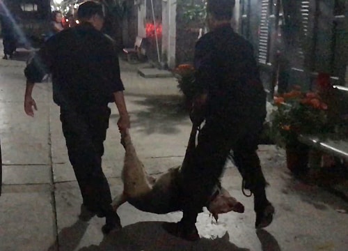 Truy tìm kẻ sát hại cả gia đình trong tiệc tất niên