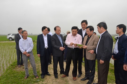 Chủ tịch UBND tỉnh Nguyễn Xuân Đường thăm đồng đầu năm
