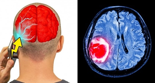 Khoa học chứng minh sóng di động không ảnh hướng tới não