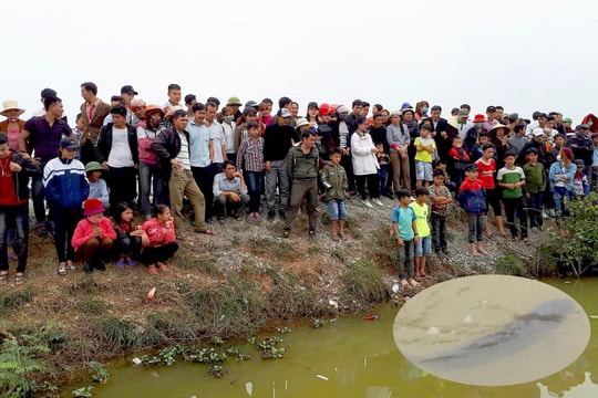 Cho rằng “cá lạ” nổi, dân ùn ùn kéo nhau đi xem 