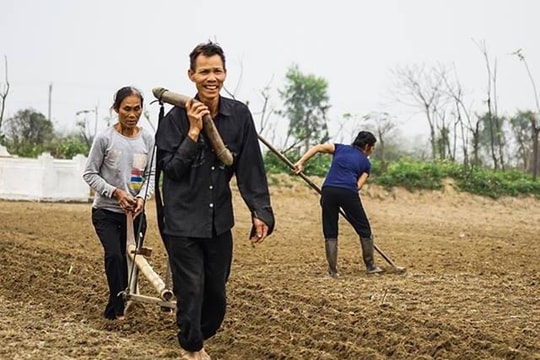 Nông dân ngoắc cày lên vai trỉa lạc sau Tết