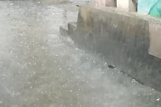 Mưa đá bằng hạt ngô hiếm gặp ngày đầu năm ở Nghệ An