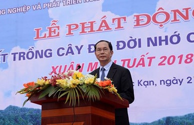 Chủ tịch nước phát động Tết trồng cây đời đời nhớ ơn Bác Hồ