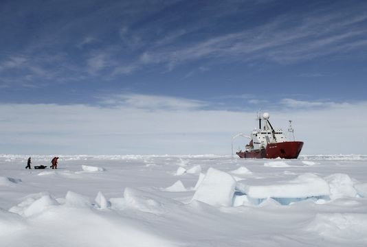 Băng nứt hé lộ thế giới chưa từng biết ở Nam Cực