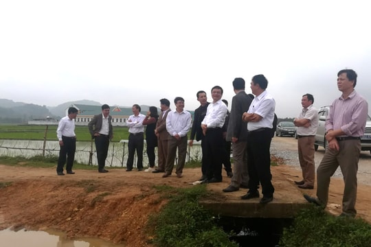 Anh Sơn: Kiểm tra công tác GPMB dự án nhà máy gỗ 1.750 tỷ đồng 