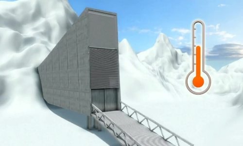 Hầm hạt giống chống tận thế được nâng cấp để tránh ngập lụt