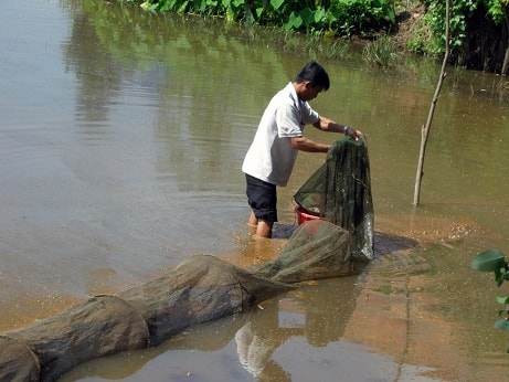 Bắt vụ sử dụng ngư cụ gây tận diệt nguồn lợi thủy sản