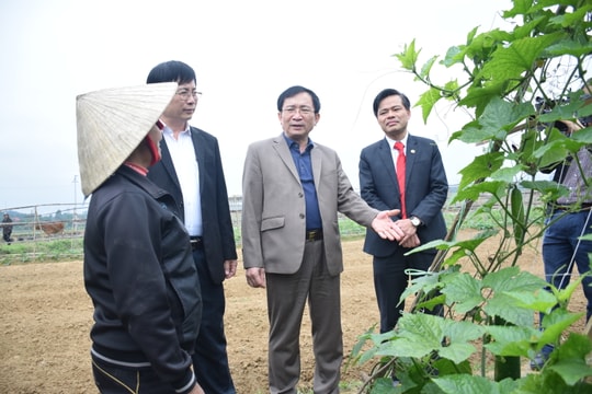 Nghệ An đề xuất được thẩm định vốn công trình NTM dưới 15 tỷ