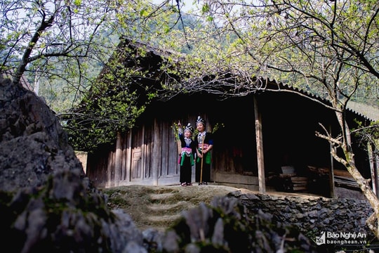 Thời tiết 1/3: Sáng sớm có sương mù, trưa chiều hửng nắng