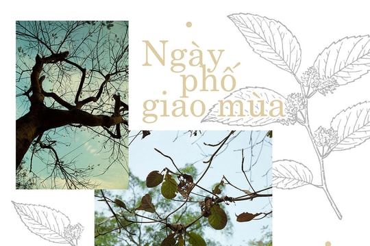  Ngày phố giao mùa