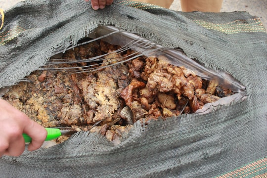 Bắt giữ 3 tạ mỡ động vật bốc mùi trên xe khách đang trên đường tiêu thụ  