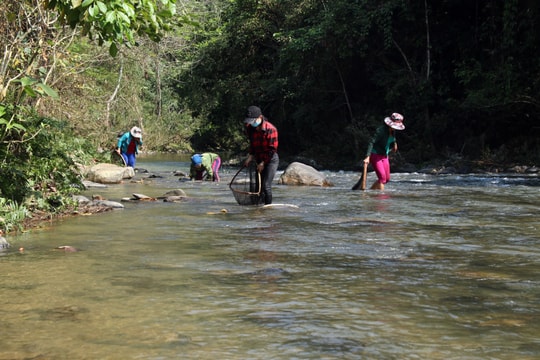 Dân bản lập “hương ước” bảo vệ nòng nọc, cá 