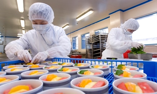 Bán suất ăn hàng không mỗi ngày thu hơn một tỷ đồng