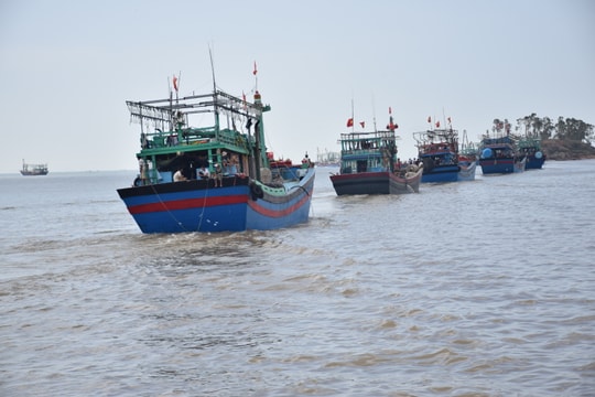 Hỗ trợ 35% giá trị tàu lớn cho ngư dân bám biển