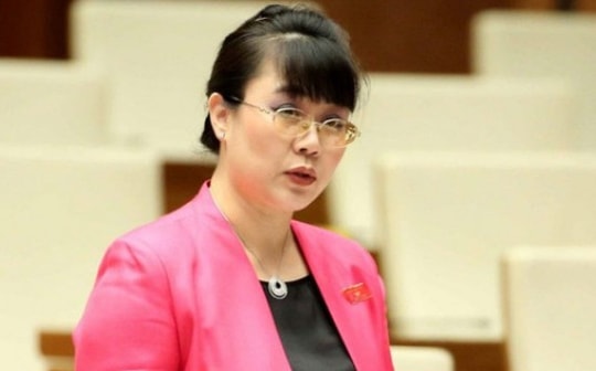 Cựu ĐBQH Nguyễn Thị Nguyệt Hường âm thầm rút khỏi ghế nóng Tập đoàn VID