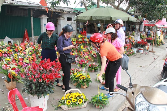Thành Vinh tràn ngập hoa ngày 8/3
