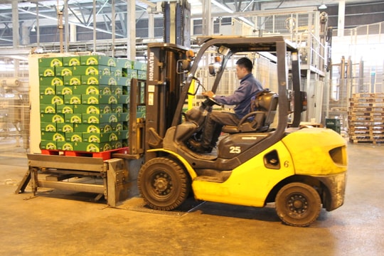 10 nhà đầu tư sẽ được UBND tỉnh Nghệ An khen thưởng