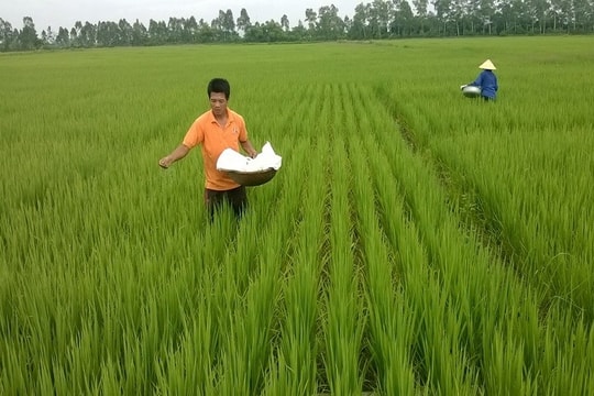 Mỗi năm sử dụng 10 triệu tấn phân bón vô cơ, dễ gây hủy hoại môi trường