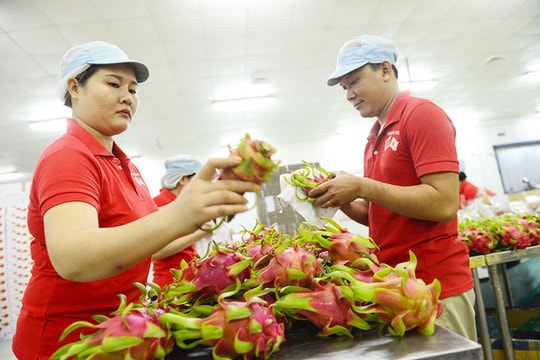 Trở thành thành viên CPTPP: Cơ hội vàng cho Việt Nam