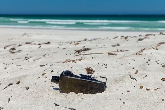 Nhặt “rác” trên biển, không ngờ là vật cổ nhất thế giới