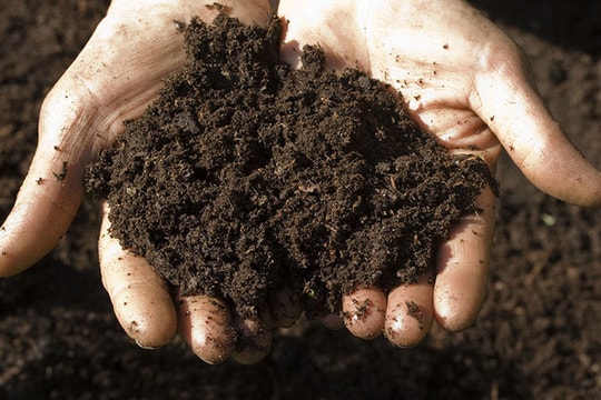 Tìm ra loại kháng sinh mới trong đất