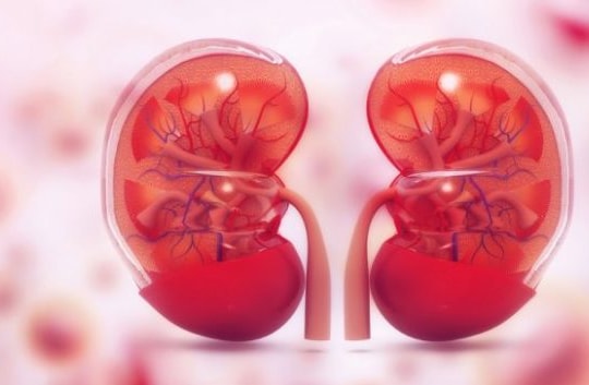 Mẹo giúp người bệnh tiểu đường giảm nguy cơ bị bệnh thận