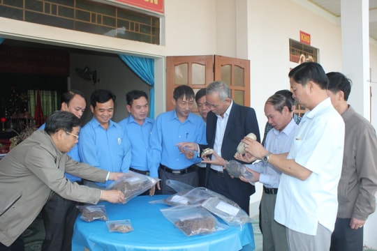 Bộ CHQS Nghệ An phấn đấu hoàn thành 100% kế hoạch tìm kiếm, cất bốc hài cốt liệt sỹ