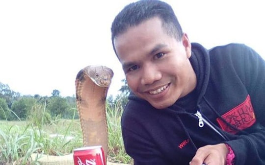 Chuyên gia bắt rắn nổi tiếng chết vì rắn hổ mang cắn