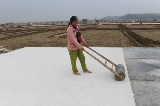 Vào vụ sản xuất muối xuất khẩu