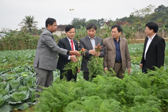 Nghệ An trình Trung ương công nhận huyện Nam Đàn đạt chuẩn NTM