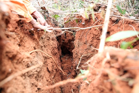 Nghệ An: Thêm các đường nứt mới ở khu dân cư, nguy cơ sụt lún hậu quả rất khó lường