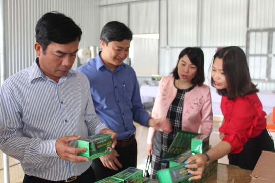 Khảo sát ứng dụng khoa học và công nghệ vào sản xuất ở Con Cuông